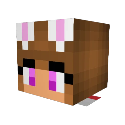 radicator2002 Minecraft avatar head, 3D render