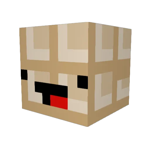 radio1192 Minecraft avatar head, 3D render