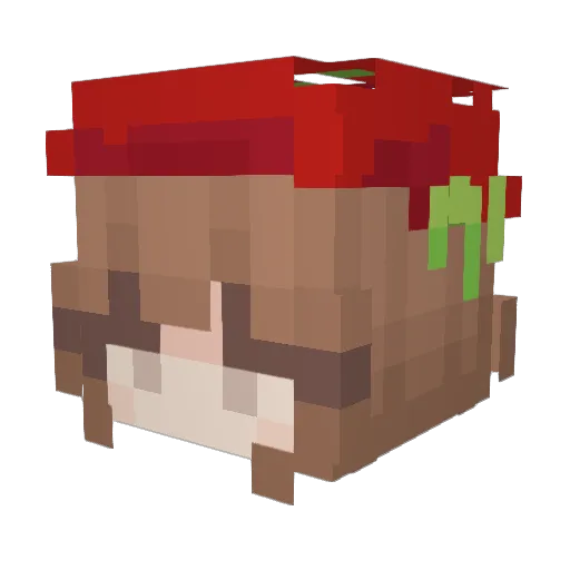 radioactivefinn Minecraft avatar head, 3D render