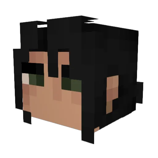 radiocar Minecraft avatar head, 3D render
