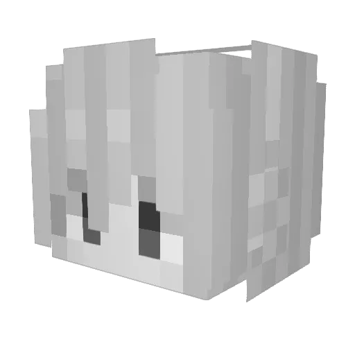 radiocarding Minecraft avatar head, 3D render