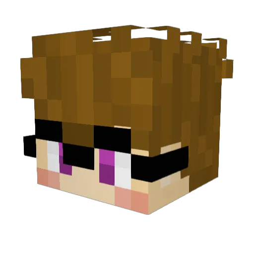radioferrets Minecraft avatar head, 3D render