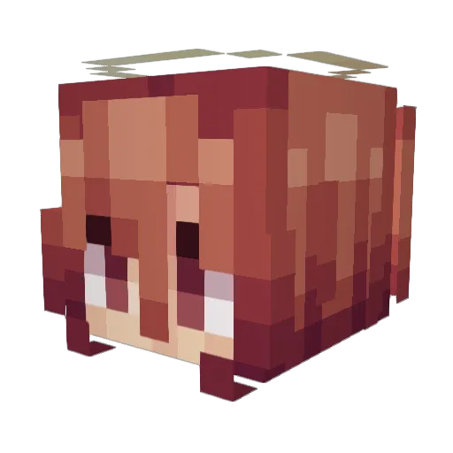 radioniko Minecraft avatar head, 3D render