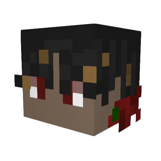 radiosilence4375 Minecraft avatar head, 3D render