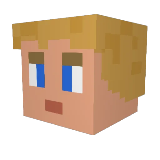radiosilence Minecraft avatar head, 3D render