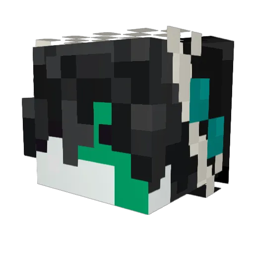 radioswrath Minecraft avatar head, 3D render