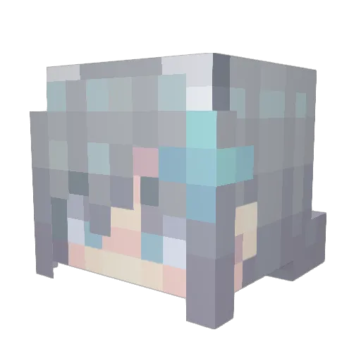 radish_jam Minecraft avatar head, 3D render