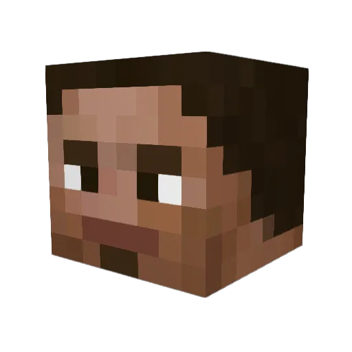 radiskull Minecraft avatar head, 3D render