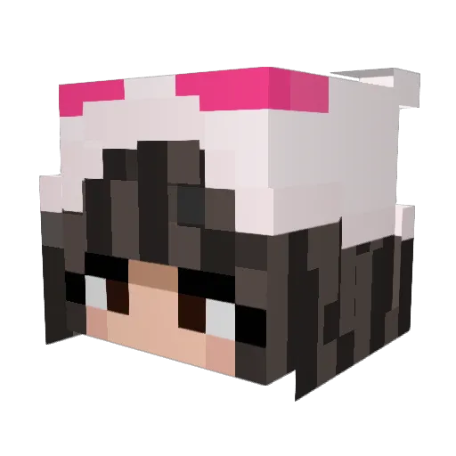 radjoss Minecraft avatar head, 3D render