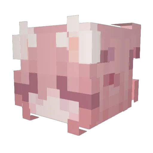 radlands Minecraft avatar head, 3D render