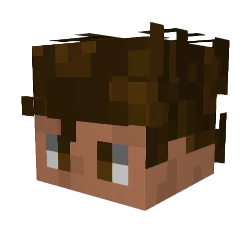 radroach04 Minecraft avatar head, 3D render