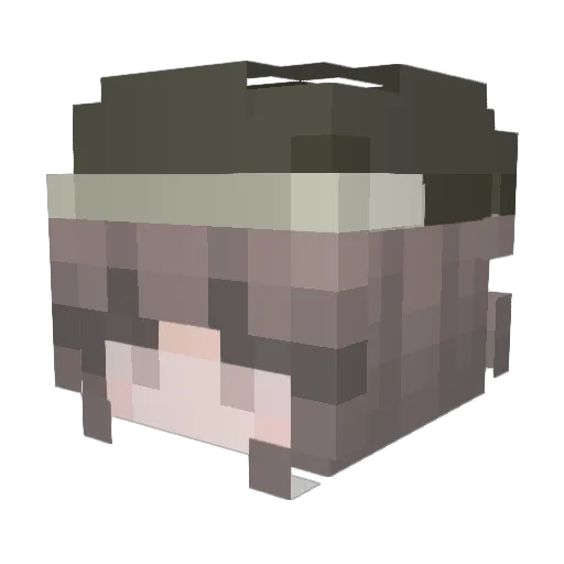 radugah Minecraft avatar head, 3D render