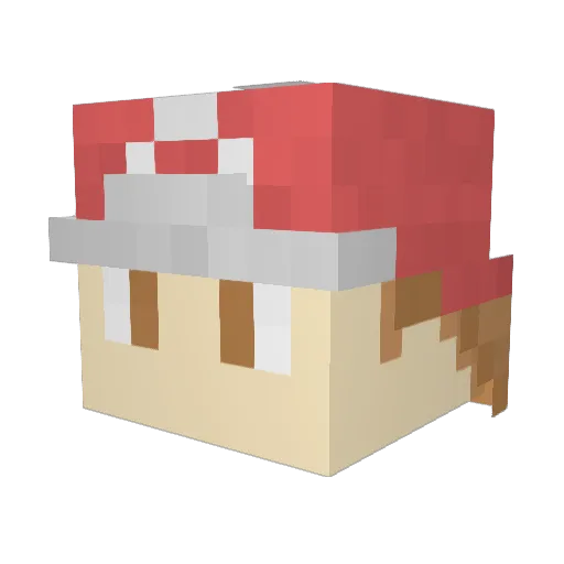 radwan234 Minecraft avatar head, 3D render