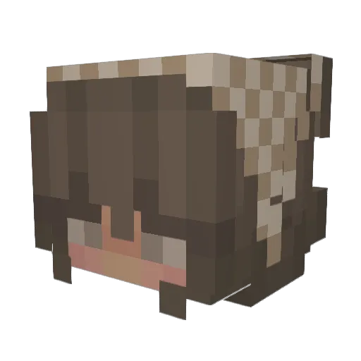 rae_243 Minecraft avatar head, 3D render
