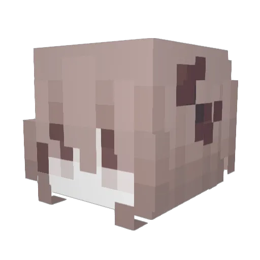 raedy0326 Minecraft avatar head, 3D render