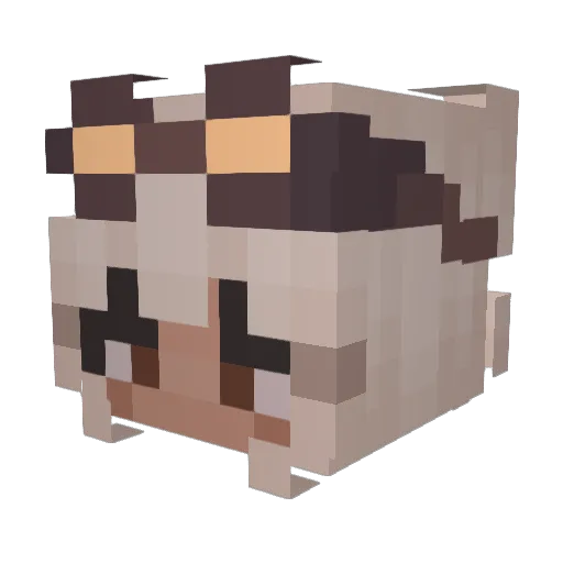 raeflux Minecraft avatar head, 3D render