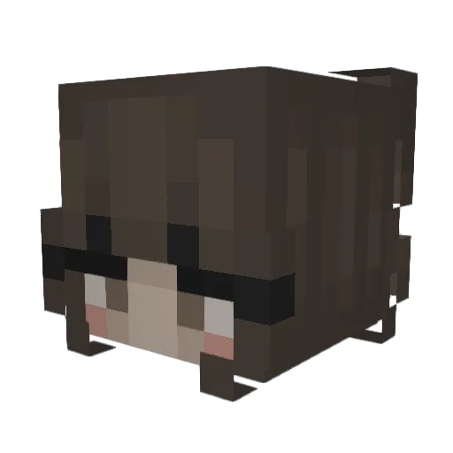 raetherat Minecraft avatar head, 3D render