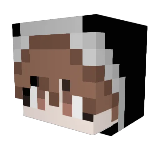 raetso_0214 Minecraft avatar head, 3D render