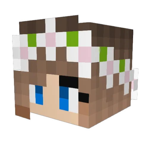 raexoxo9 Minecraft avatar head, 3D render