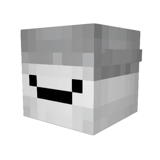 rafa22o Minecraft avatar head, 3D render