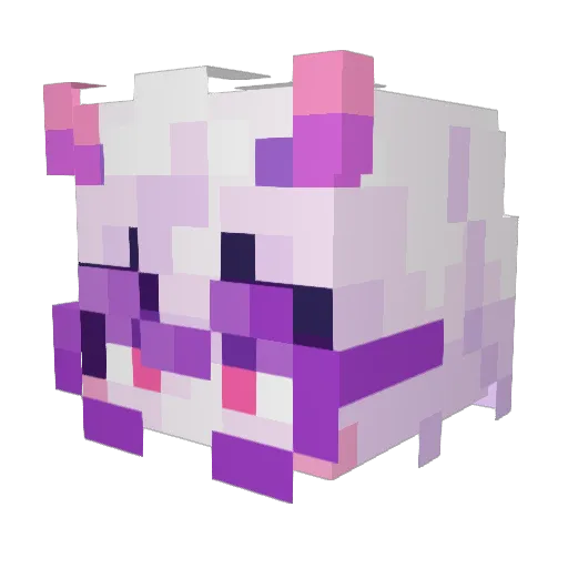 rafaaxx Minecraft avatar head, 3D render