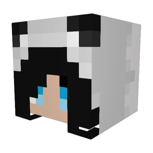 rafaelasoll Minecraft avatar head, 3D render
