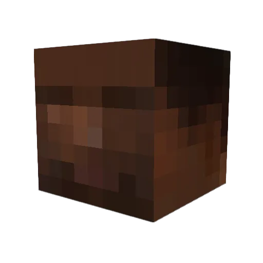 rafar1nha Minecraft avatar head, 3D render