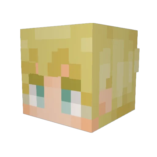 rafavnk Minecraft avatar head, 3D render