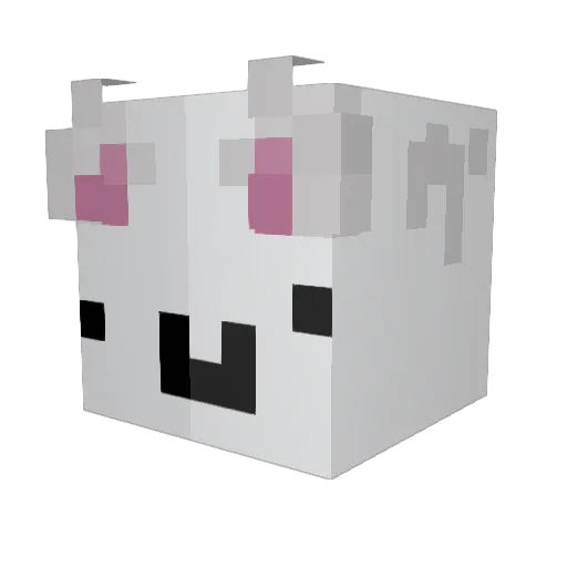 raffie_212 Minecraft avatar head, 3D render