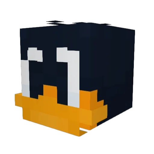 raffyduck Minecraft avatar head, 3D render