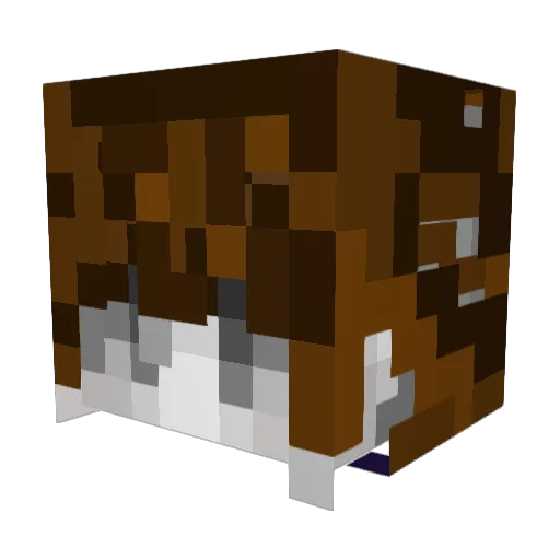 raffysleom Minecraft avatar head, 3D render
