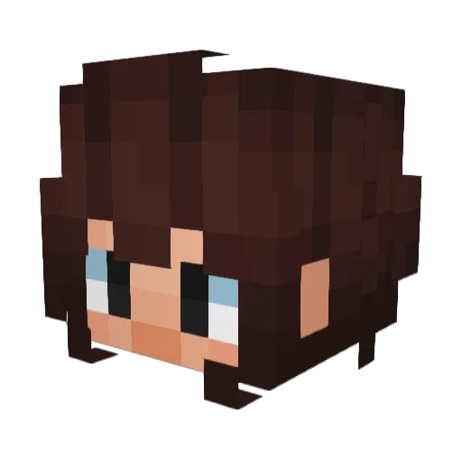 rafiblocker Minecraft avatar head, 3D render
