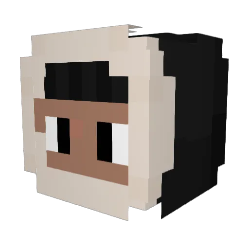 rafigueira Minecraft avatar head, 3D render