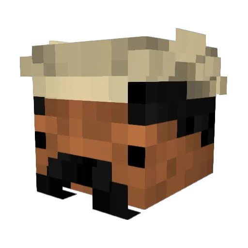 rafikito Minecraft avatar head, 3D render