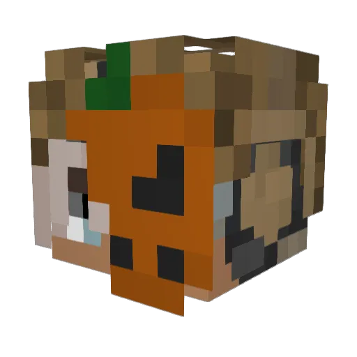 rafsoldier Minecraft avatar head, 3D render