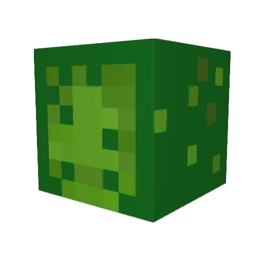 rafterboi Minecraft avatar head, 3D render