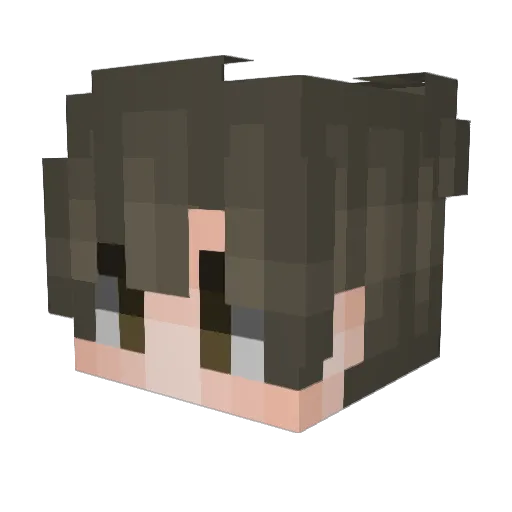 rag_nan Minecraft avatar head, 3D render