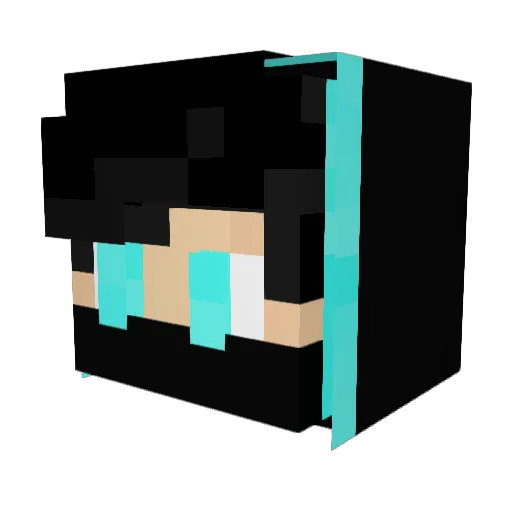 raganau Minecraft avatar head, 3D render