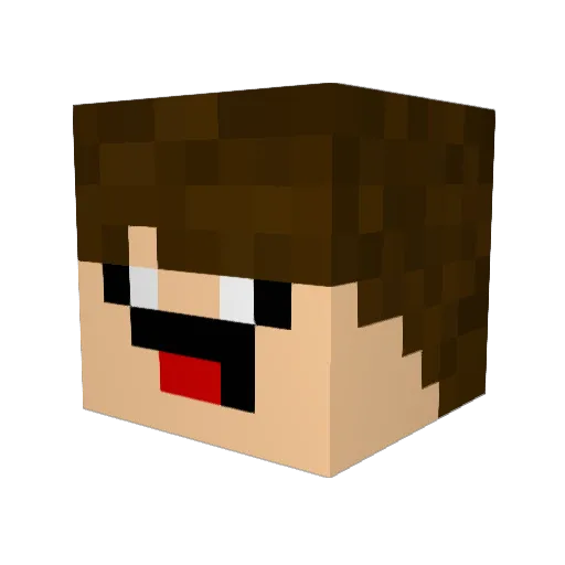 ragazzzzzzzzzzzi Minecraft avatar head, 3D render