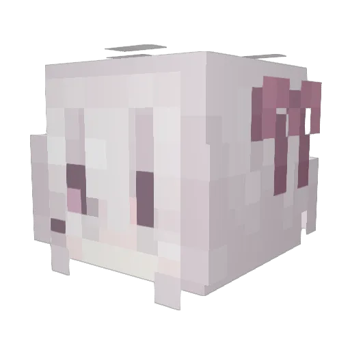 ragdoll_cats Minecraft avatar head, 3D render