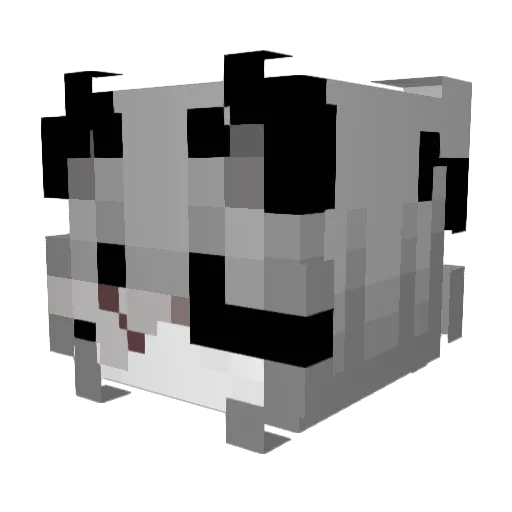 rageCompany_ Minecraft avatar head, 3D render