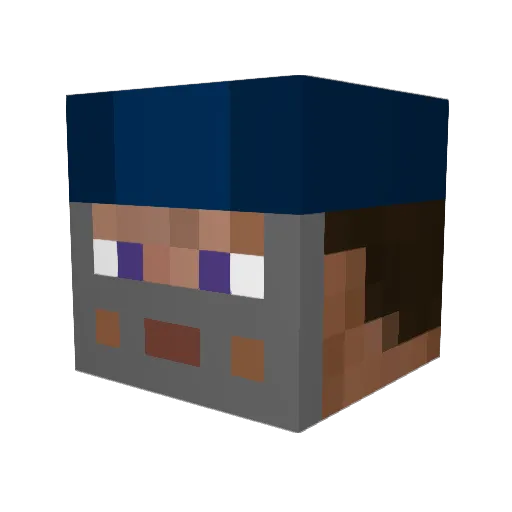 rageagainst3 Minecraft avatar head, 3D render