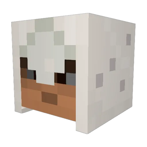 ragemonster123 Minecraft avatar head, 3D render