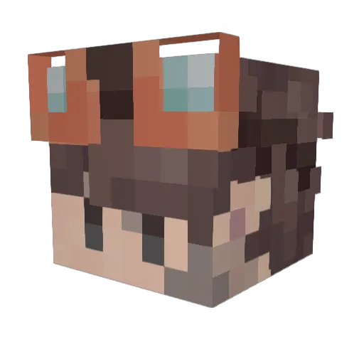 raghavv2010 Minecraft avatar head, 3D render