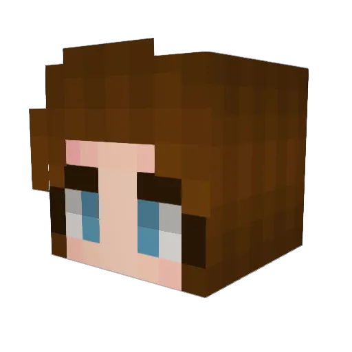 raginglesbians Minecraft avatar head, 3D render
