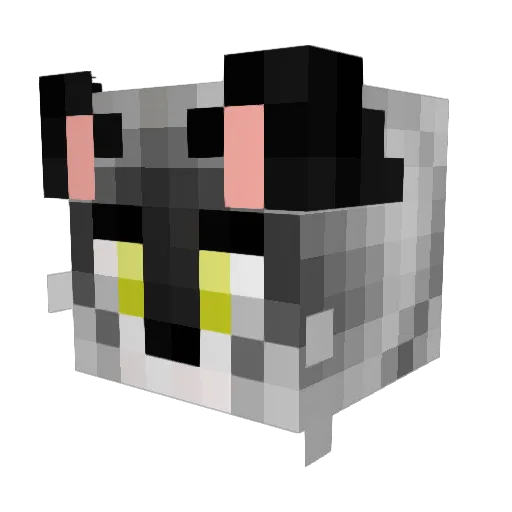 ragnar28190 Minecraft avatar head, 3D render
