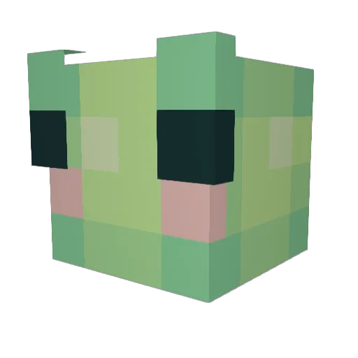 raheemoglobin Minecraft avatar head, 3D render