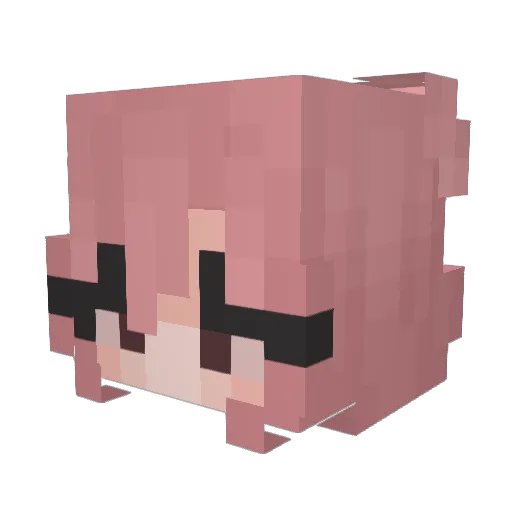 rahgarooni Minecraft avatar head, 3D render
