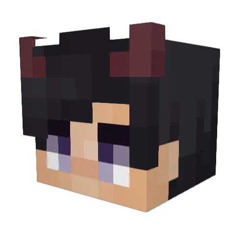 rahroo Minecraft avatar head, 3D render