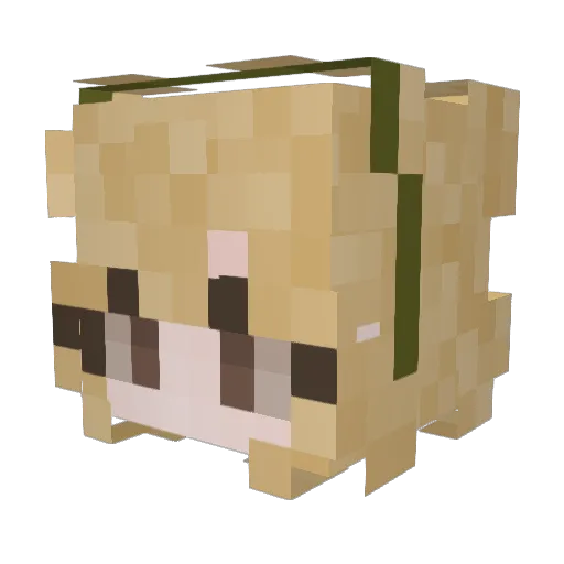 rai_iny Minecraft avatar head, 3D render